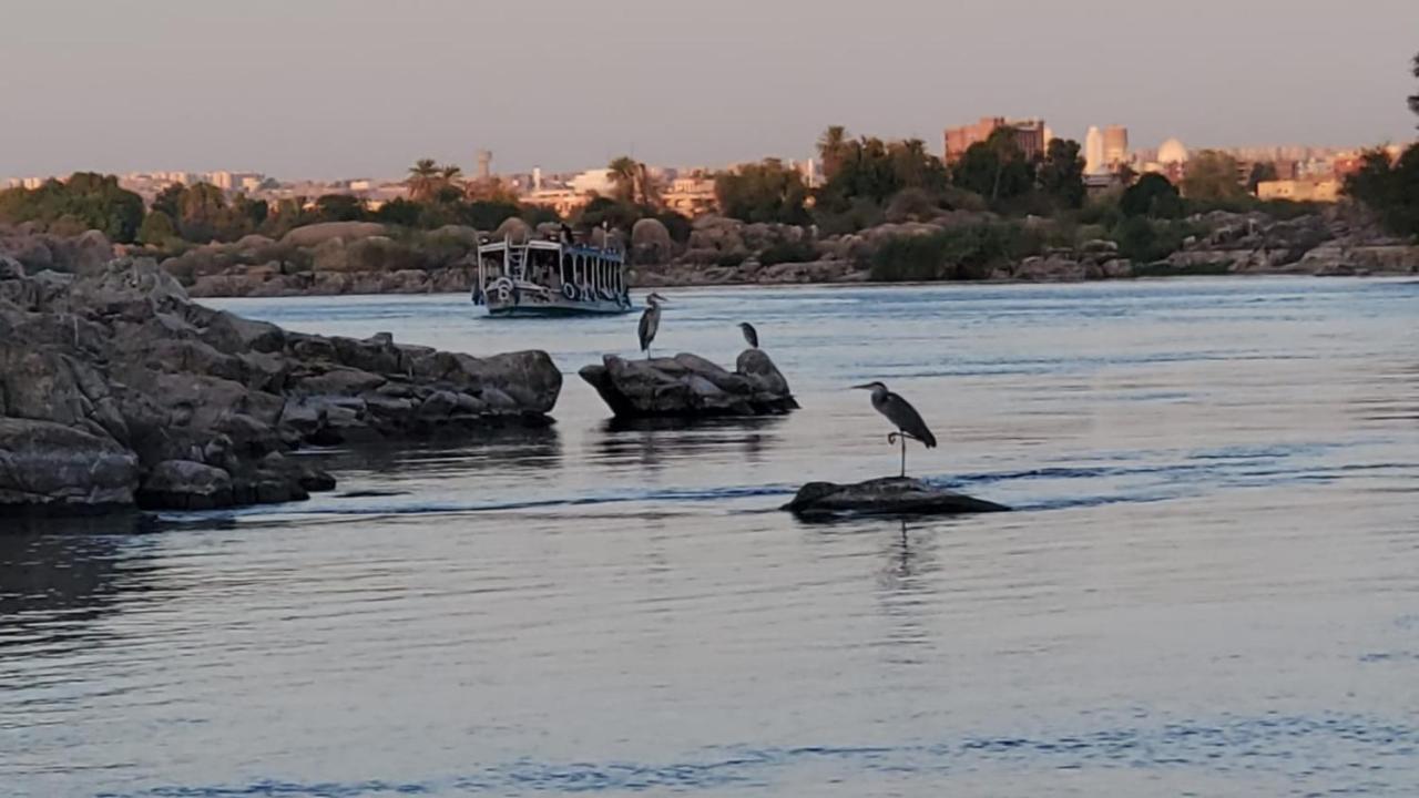 Adad Noubian House Villa Asvan Dış mekan fotoğraf